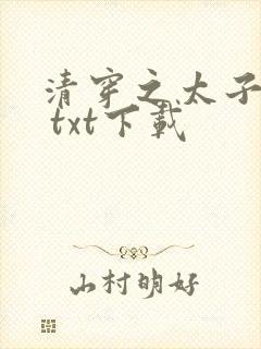 清穿之太子娇妃 txt下载