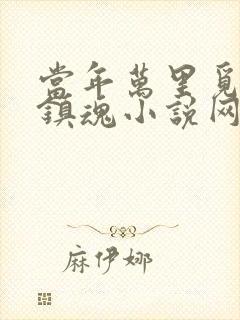 当年万里觅封侯镇魂小说网