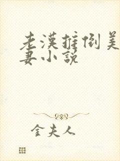 老汉推倒美艳人妻小说封面