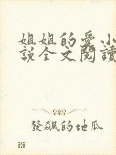 姐姐的爱小帆小说全文阅读