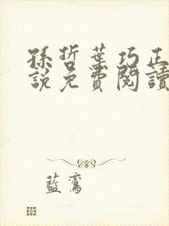 孙哲叶巧正版小说免费阅读封面