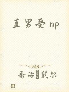 直男受 np