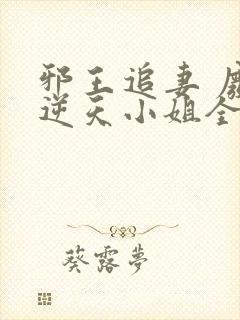 邪王追妻 废材逆天小姐全文阅读