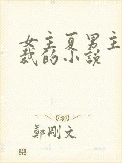 女主夏男主傅总裁的小说