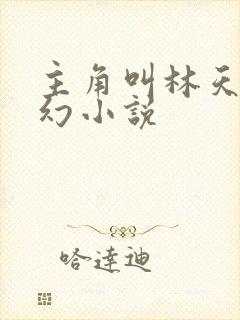 主角叫林天的玄幻小说封面