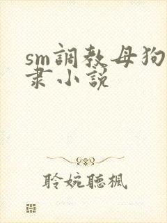 sm调教母狗奴隶小说