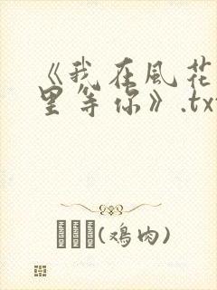 《我在风花雪月里等你》.txt