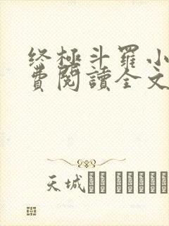 终极斗罗小说免费阅读全文封面