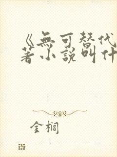 《无可替代》原著小说叫什么