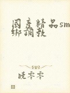 国产精品sm捆绑调教