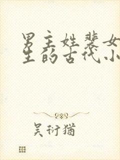 男主姓裴女主重生的古代小说