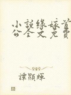 小说缘嫁首长老公全文免费阅读