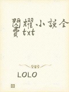 闪耀小说全文免费txt