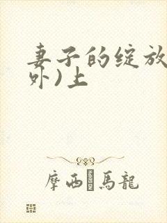 妻子的绽放(番外)上