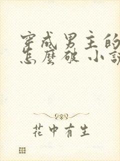 穿成男主的心魔怎么破 小说