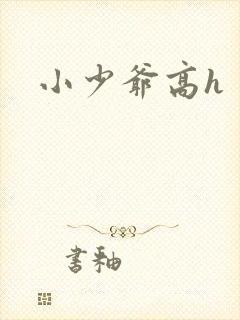 小少爷高h