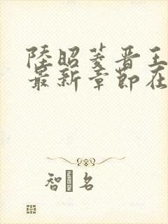 陆昭菱晋王小说最新章节在线阅读