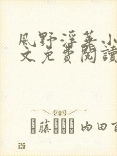 风野浮华小说全文免费阅读无弹窗