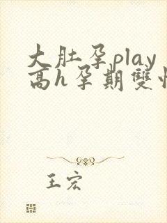 大肚孕play高h孕期双性封面