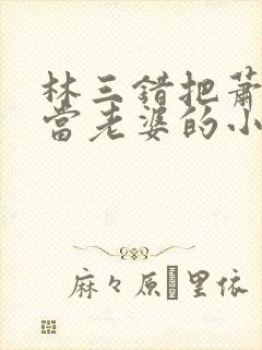 林三错把萧夫人当老婆的小说封面