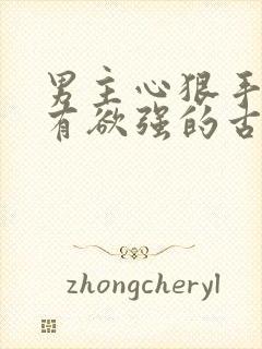 男主心狠手辣占有欲强的古言