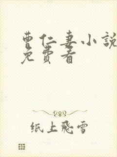 曹仁妻小说哪里免费看