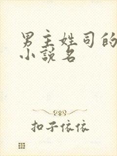 男主姓司的全部小说名封面