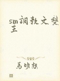 sm调教文双男主