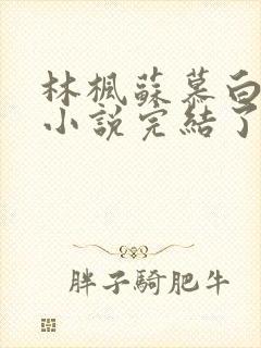 林枫苏慕白穿越小说完结了吗怎么看