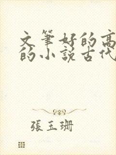 文笔好的高质量的小说古代言情