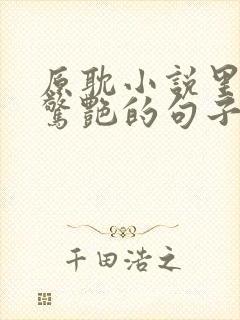 原耽小说里令人惊艳的句子