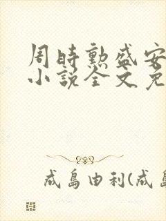 周时勋盛安宁的小说全文免费阅