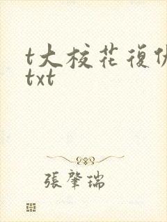 t大校花复仇记txt