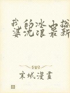 我的冰山总裁老婆沈浪最新章节