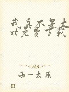 我真不是大佬txt免费下载封面