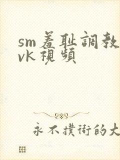 sm羞耻调教丨vk视频