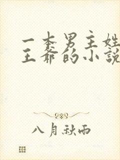 一本男主姓萧是王爷的小说