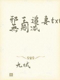 邪王追妻txt无删减