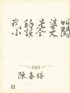 我的老婆叫武艳小说全文阅读封面