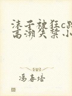 沫子被狂c躁到高潮失禁小说