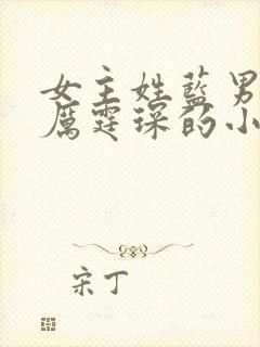 女主姓蓝男主叫厉霆琛的小说