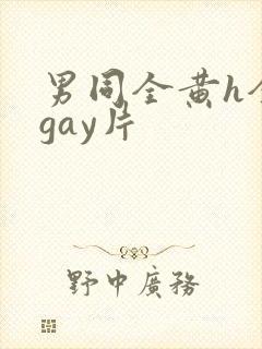 男同全黄h全肉gay片