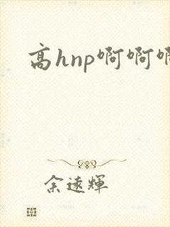 高hnp啊啊啊封面