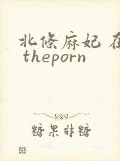 北条麻妃 在线 theporn
