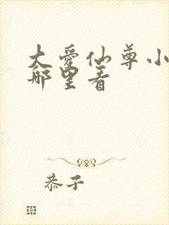 大爱仙尊小说在哪里看