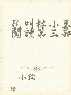 我叫林小喜全文阅读第三部