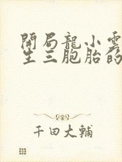 开局龙小云给我生三胞胎的小说