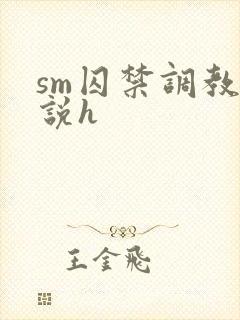 sm囚禁调教小说h