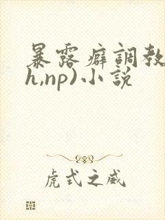 暴露癖调教(高h,np)小说