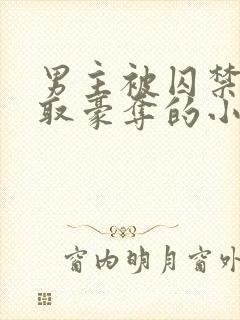 男主被囚禁被强取豪夺的小说